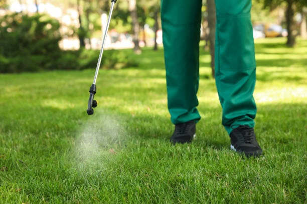 Best Pest Control Near Me in North Merritt Island, FL