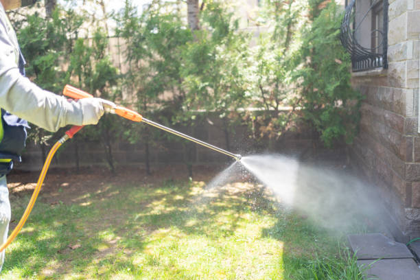 Pest Prevention Services in North Merritt Island, FL