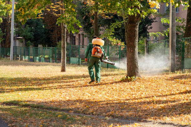 Best Pest Removal Services  in North Merritt Island, FL