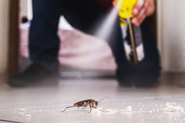 Best Mosquito Control Services  in North Merritt Island, FL