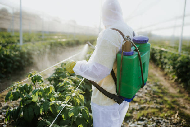Best Mosquito Control Services  in North Merritt Island, FL